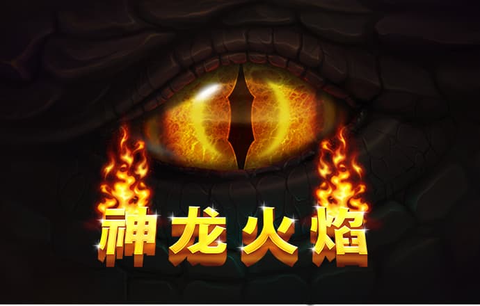 FB体育官网入口网站